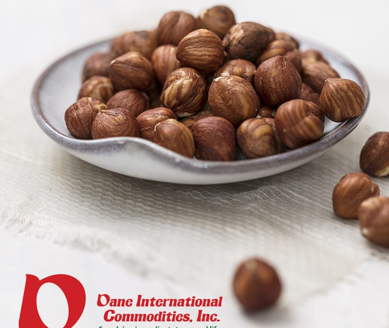 U.S. Raw Shelled Natural Hazelnuts